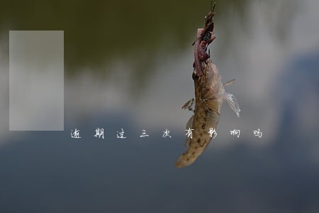 逾期过三次有影响吗 逾期过三次有影响吗