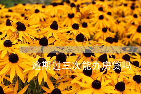 逾期过三次能办房贷吗 逾期过三次能办房贷吗