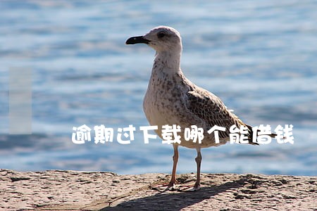 逾期过下载哪个能借钱 逾期过下载哪个能借钱