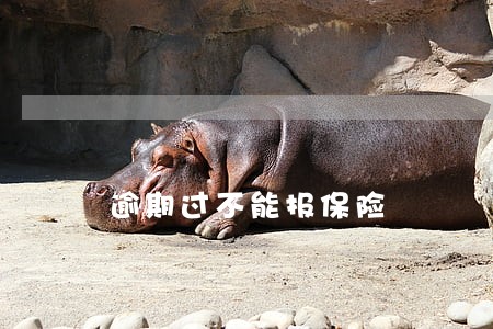 逾期过不能报保险 逾期过不能报保险