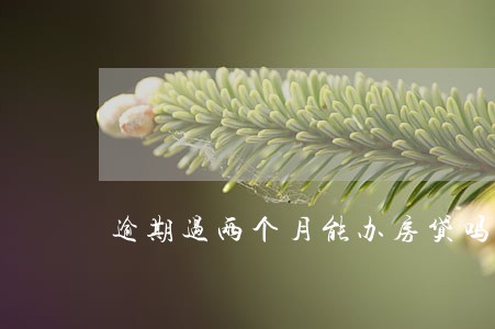 逾期过两个月能办房贷吗 逾期过两个月能办房贷吗