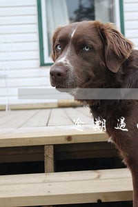 逾期过两次会影响车贷吗 逾期过两次会影响车贷吗