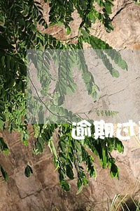 逾期过两次能办车贷吗 逾期过两次能办车贷吗