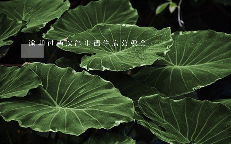 逾期过两次能申请住房公积金