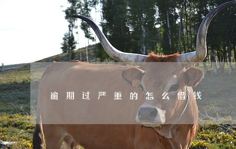 逾期过严重的怎么借钱 逾期过严重的怎么借钱