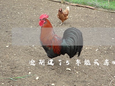 逾期过了5年能买房吗 逾期过了5年能买房吗