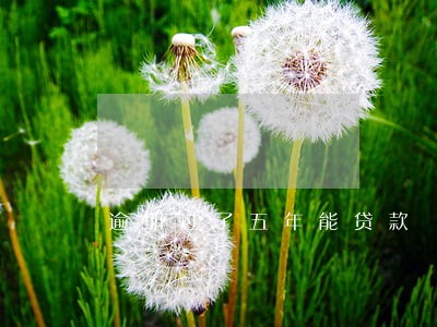 逾期过了五年能贷款 逾期过了五年能贷款