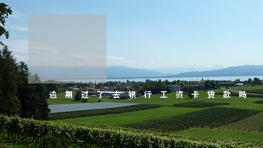 逾期过了去银行工资卡贷款吗 逾期过了去银行工资卡贷款吗
