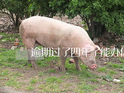 逾期过了四年了能办信用卡吗 逾期过了四年了能办信用卡吗