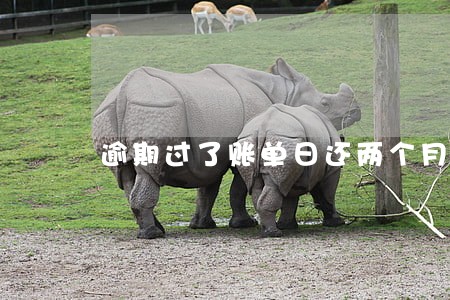 逾期过了账单日还两个月 逾期过了账单日还两个月