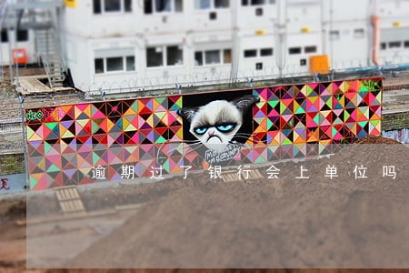 逾期过了银行会上单位吗 逾期过了银行会上单位吗