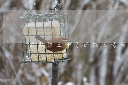 逾期过五年了还能办信用卡吗