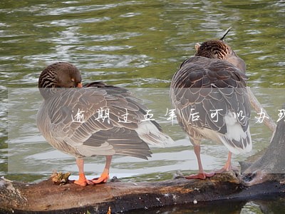 逾期过五年后可以办理房贷吗