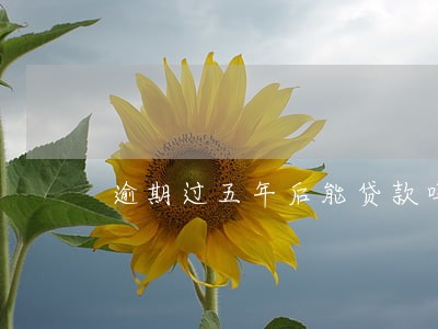 逾期过五年后能贷款吗 逾期过五年后能贷款吗