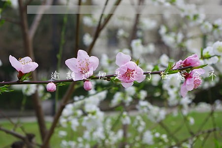 逾期过但是还了征信会不会不良 逾期过但是还了征信会不会不良