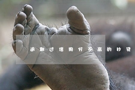逾期过信用分不高的秒贷软件 逾期过信用分不高的秒贷软件