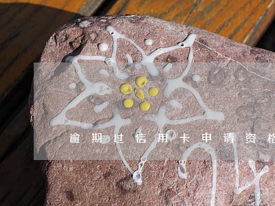 逾期过信用卡申请资格 逾期过信用卡申请资格