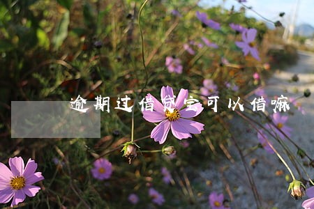 逾期过借贷宝可以借嘛 逾期过借贷宝可以借嘛