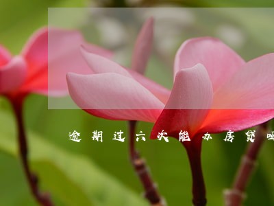 逾期过六次能办房贷吗 逾期过六次能办房贷吗