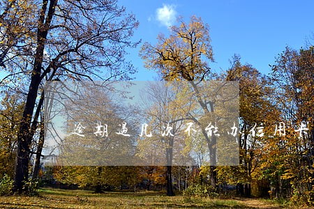 逾期过几次不能办信用卡 逾期过几次不能办信用卡