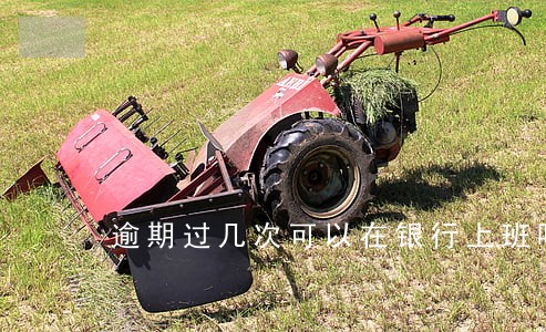逾期过几次可以在银行上班吗 逾期过几次可以在银行上班吗