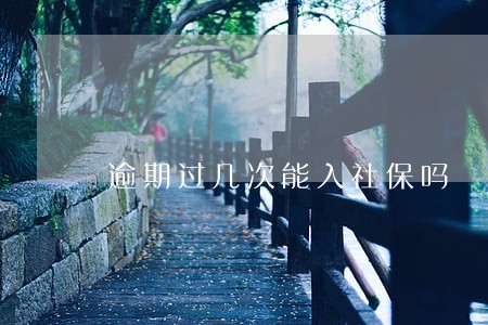 逾期过几次能入社保吗 逾期过几次能入社保吗