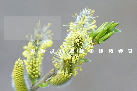 逾期过几次能申请抵押贷吗