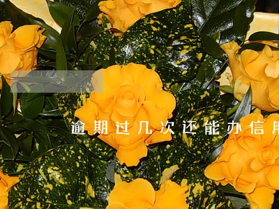 逾期过几次还能办信用卡吗 逾期过几次还能办信用卡吗