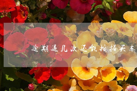 逾期过几次还能按揭买车吗