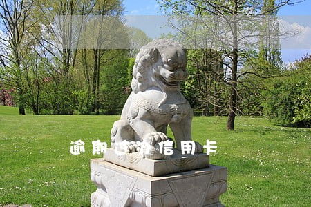 逾期过办信用卡