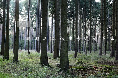 逾期过办信用卡还能下吗 逾期过办信用卡还能下吗