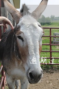 逾期过办理不了金卡吗 逾期过办理不了金卡吗