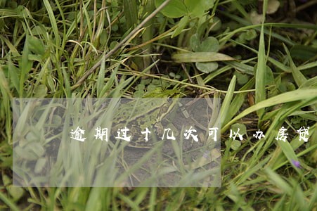 逾期过十几次可以办房贷吗
