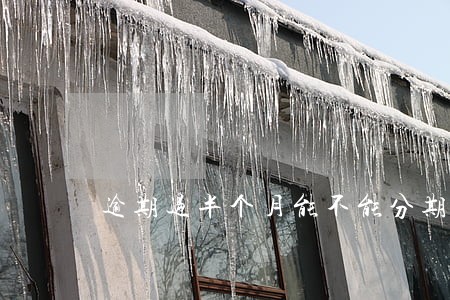 逾期过半个月能不能分期买车 逾期过半个月能不能分期买车