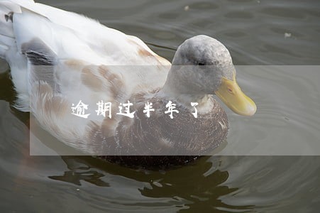 逾期过半年了 逾期过半年了