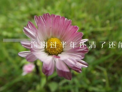 逾期过半年还清了还能借吗 逾期过半年还清了还能借吗
