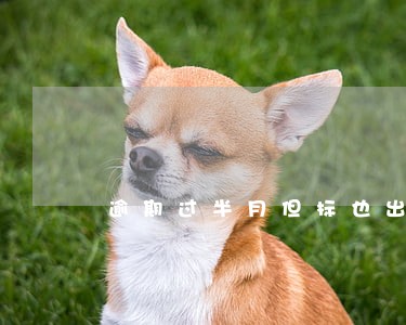 逾期过半月但标也出了还罚款吗 逾期过半月但标也出了还罚款吗
