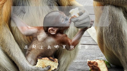 逾期过去哪里能借款 逾期过去哪里能借款