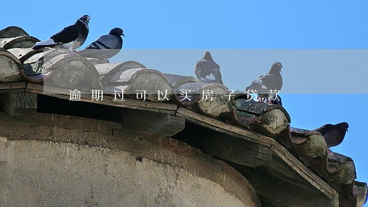 逾期过可以买房子贷款 逾期过可以买房子贷款
