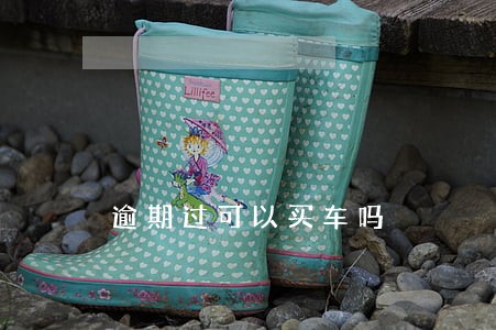逾期过可以买车吗 逾期过可以买车吗