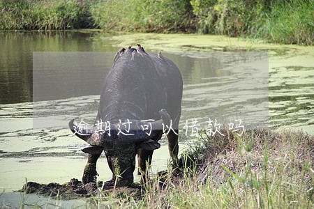 逾期过可以借款吗 逾期过可以借款吗