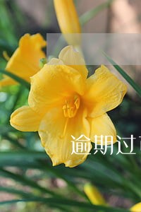 逾期过可以做催收吗 逾期过可以做催收吗
