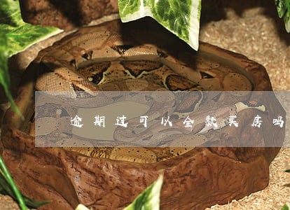 逾期过可以全款买房吗 逾期过可以全款买房吗