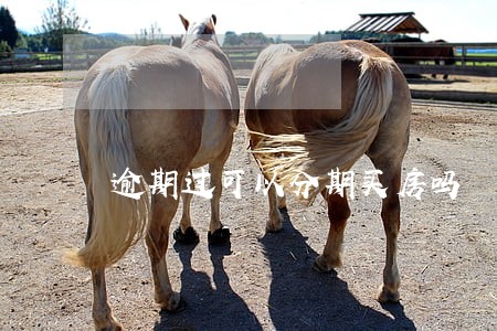 逾期过可以分期买房吗
