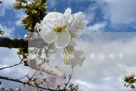 逾期过可以办理信用卡 逾期过可以办理信用卡