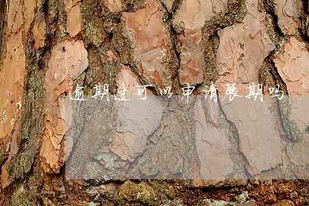 逾期过可以申请展期吗