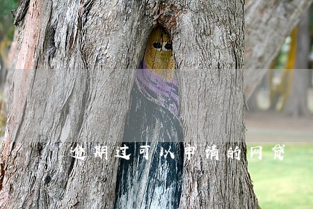逾期过可以申请的网贷 逾期过可以申请的网贷