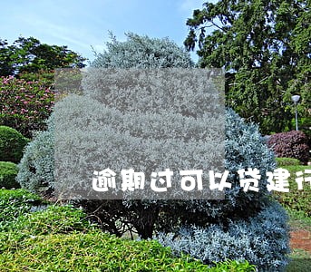 逾期过可以贷建行装修贷