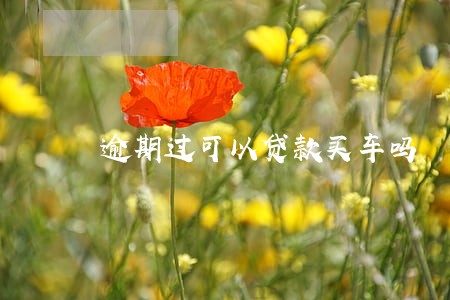 逾期过可以贷款买车吗 逾期过可以贷款买车吗