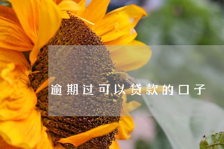 逾期过可以贷款的口子 逾期过可以贷款的口子